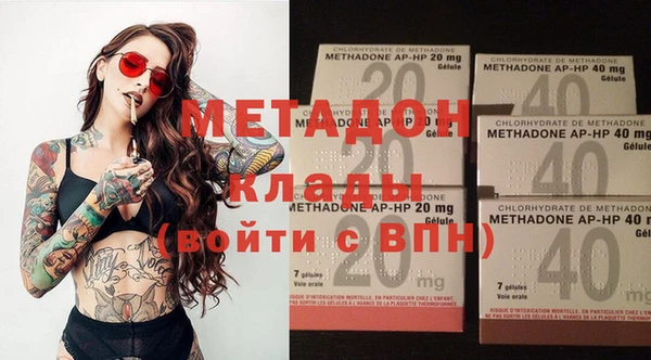 прущие грибы Аркадак