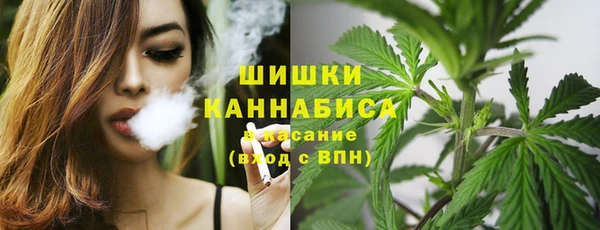 прущие грибы Аркадак