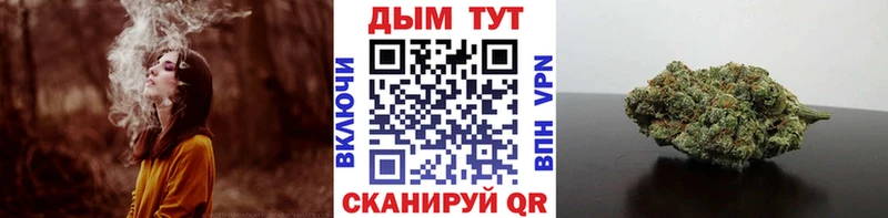 Конопля семена Карачев